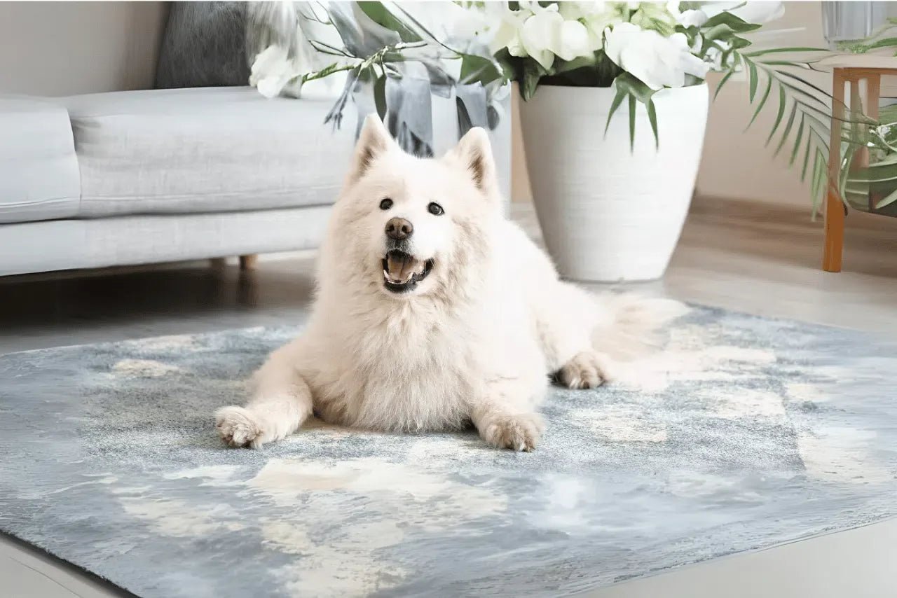 CUIDANDO TU ALFOMBRA TURCA EN PRESENCIA DE MASCOTAS - Outlet Alfombras